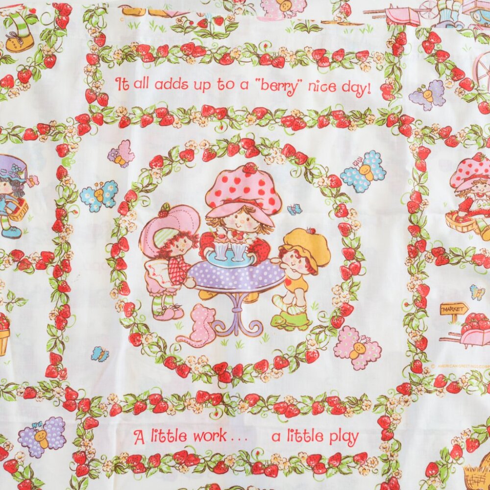 Vintage 1980s Strawberry Shortcake Twin and Fitted Sheet Set
